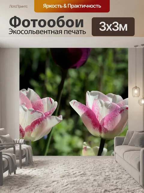 Фотообои Тюльпаны