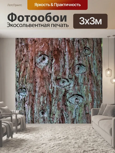 Фотообои Лес