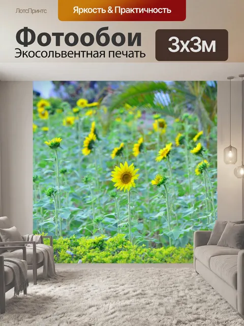Фотообои Цветы
