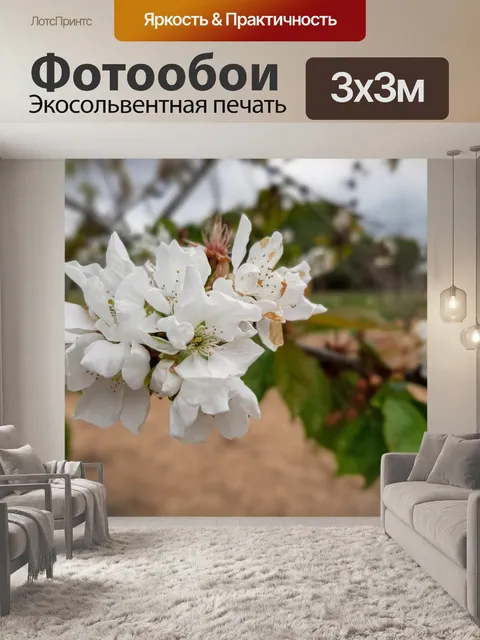 Фотообои Цветы