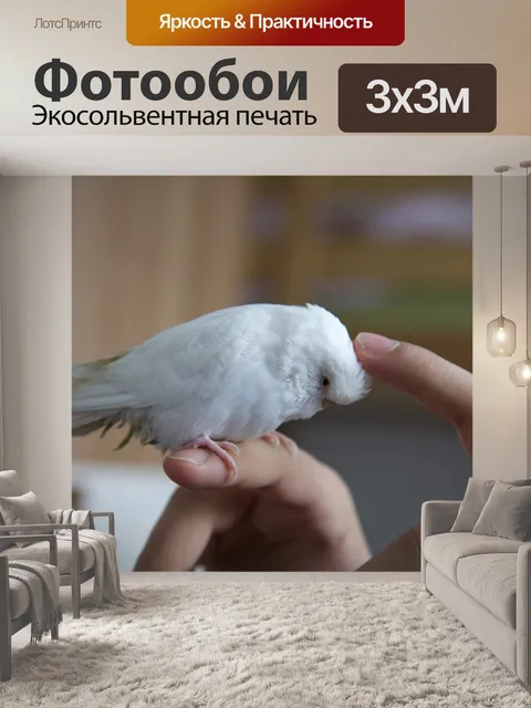 Фотообои Поглаживание рук