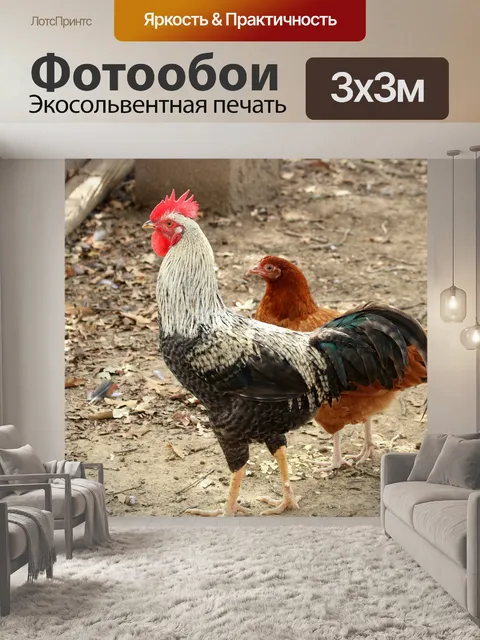 Фотообои Черно-белый петух и курица