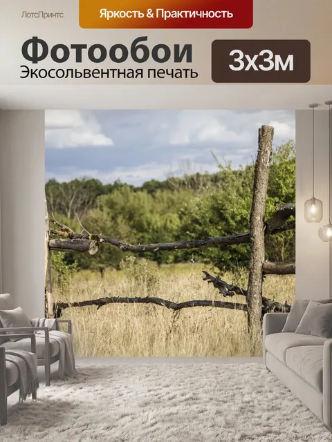 Фотообои Лес