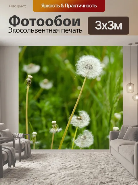 Фотообои Одуванчик