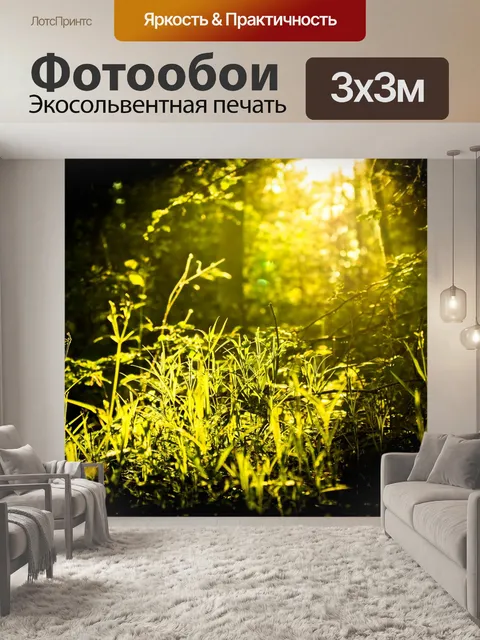 Фотообои Лес