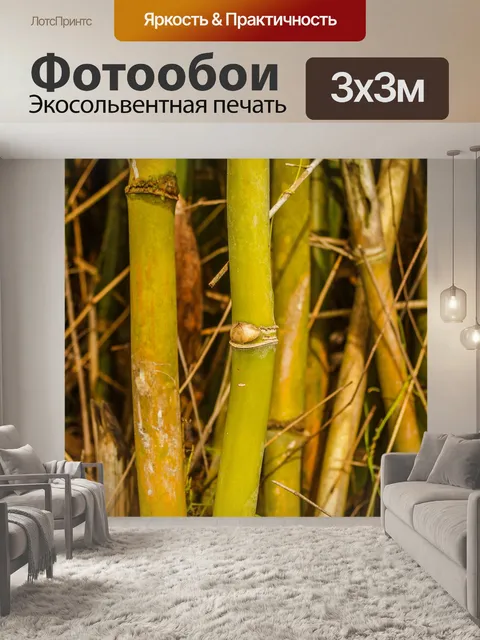 Фотообои Бамбуковый лес природа фон