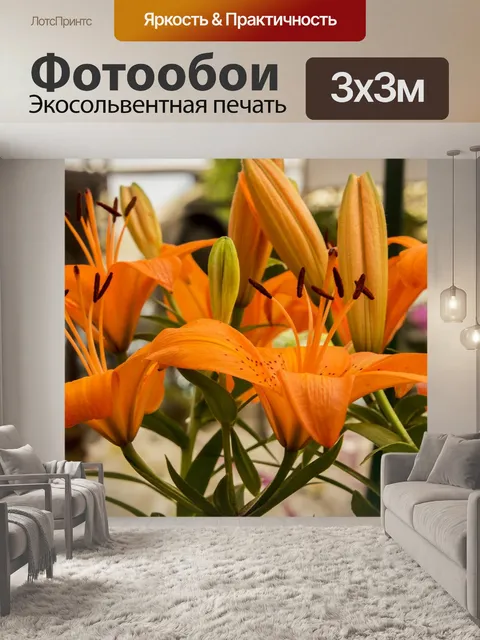 Фотообои Лили