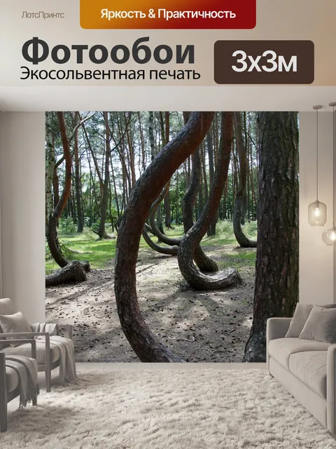 Фотообои Кривый лес