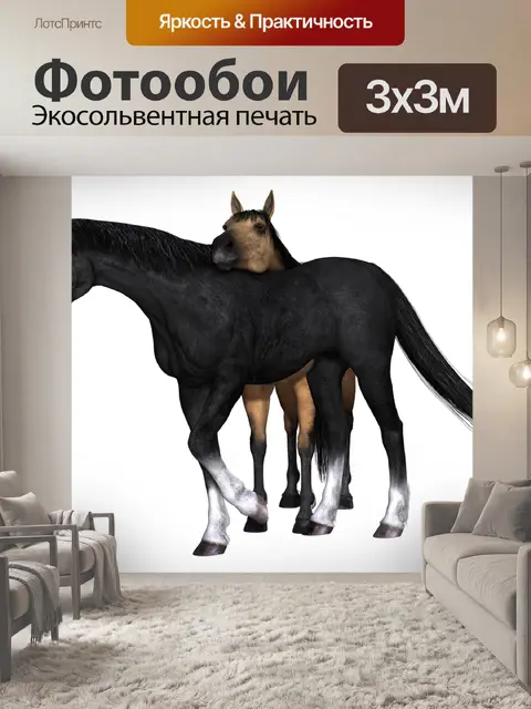 Фотообои Лошадь