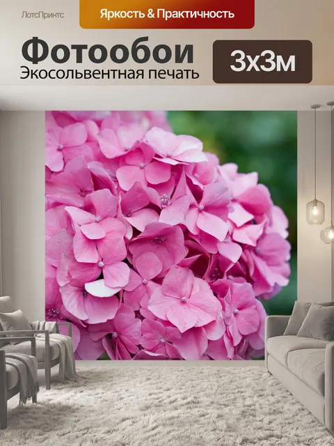 Фотообои Розовые цветы гортензии