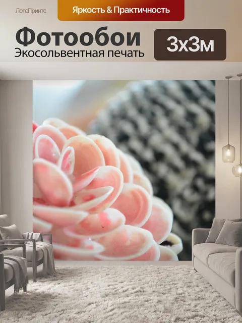 Фотообои Цветок
