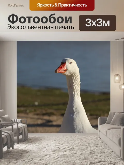 Фотообои Гуси