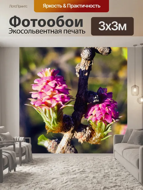 Фотообои Цветы