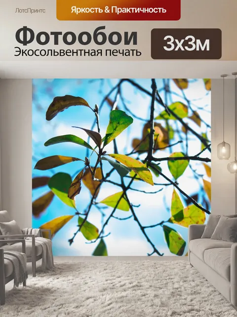 Фотообои За пределами