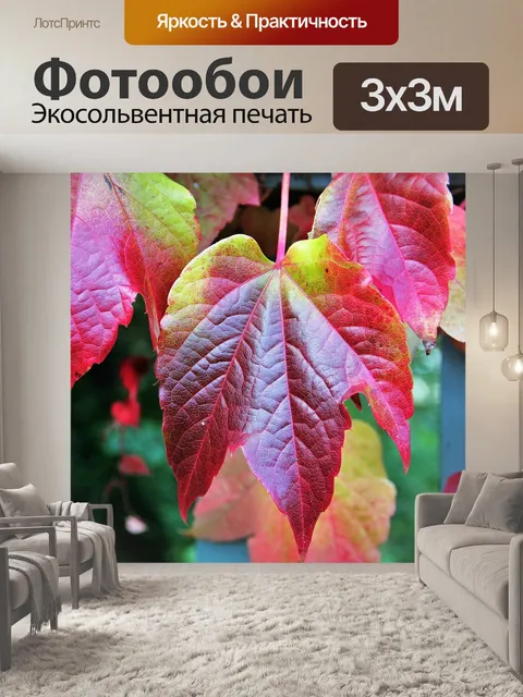 Фотообои Осенние листья