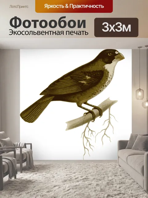 Фотообои Птица
