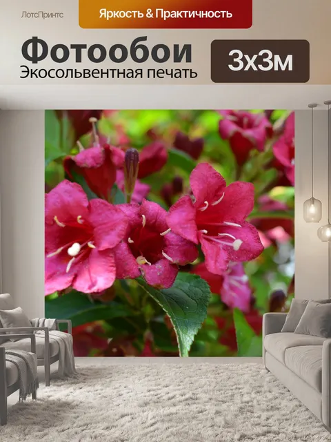 Фотообои Цветущий куст
