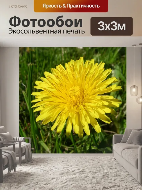 Фотообои Одуванчик