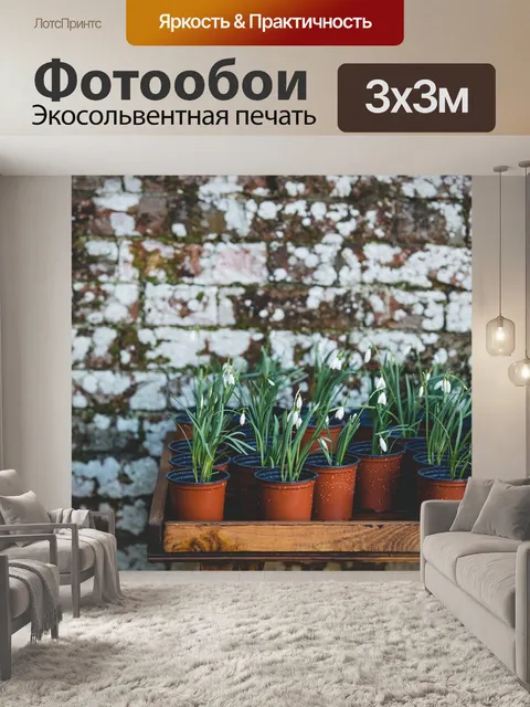 Фотообои Растения
