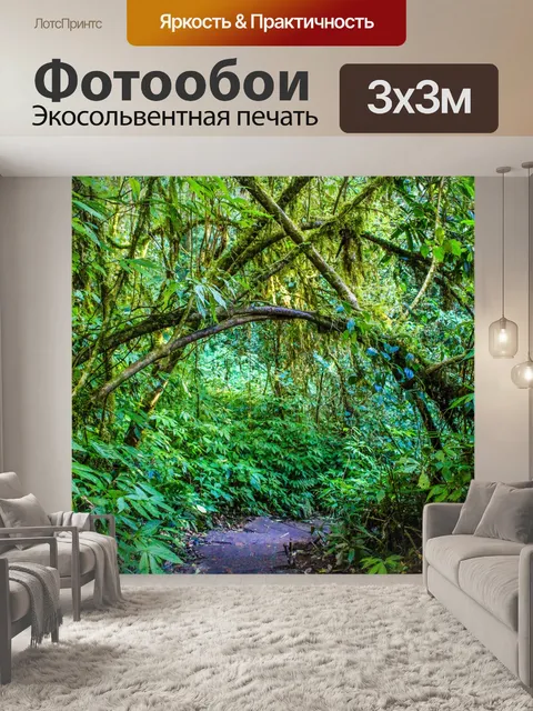 Фотообои Тропический лес в Дои Интанон, Чиангмай