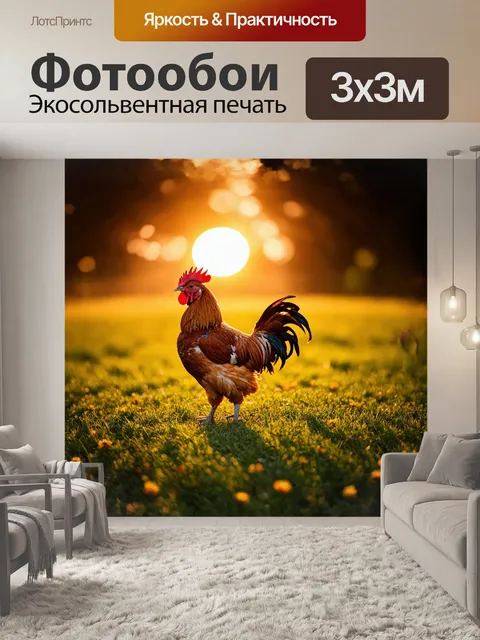 Фотообои петух, величественно расправивший свои перья, стоит на рассвете, его яркий красный гребень сверкает на фоне…