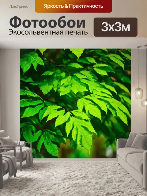 Фотообои с листьями и природными элементами, создающими свежесть и гармонию