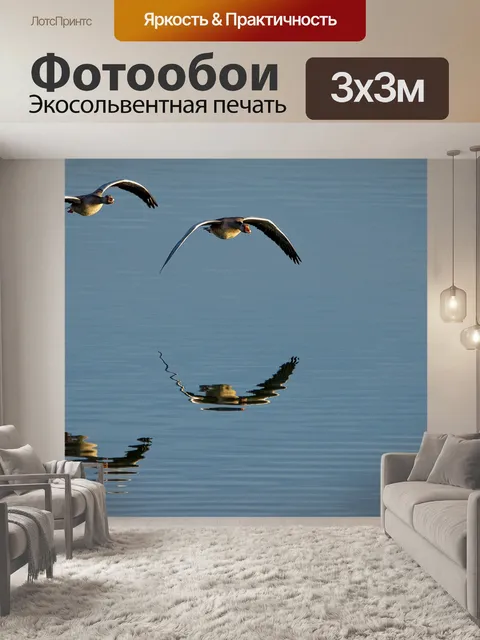 Фотообои Гуси