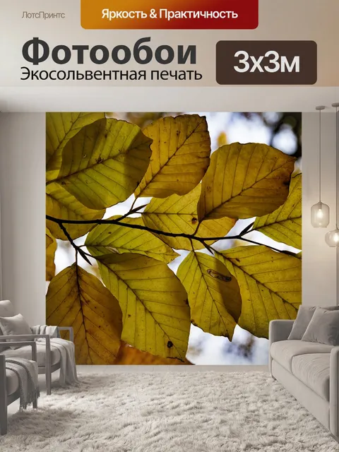 Фотообои Листы