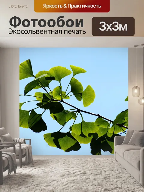 Фотообои Гинкго