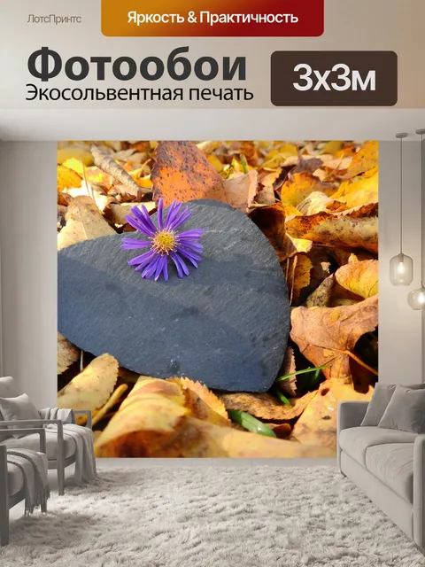 Фотообои Падение