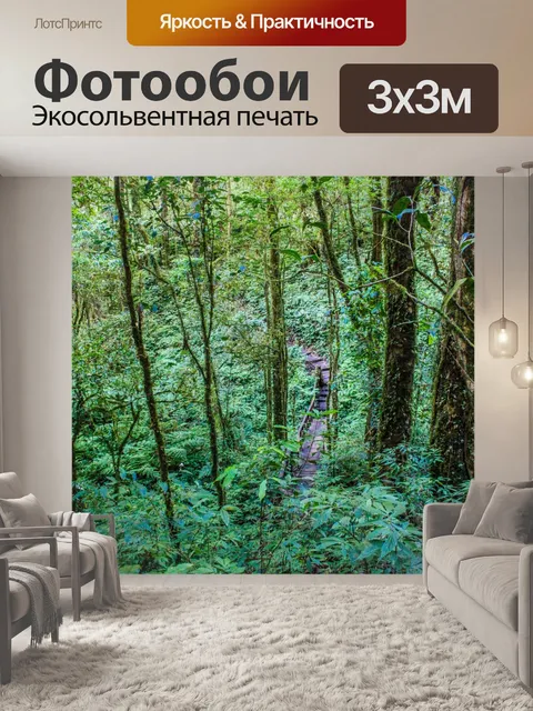 Фотообои Тропический лес в Дои Интанон, Чиангмай