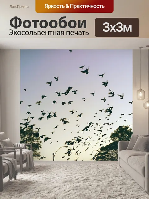 Фотообои Свобода