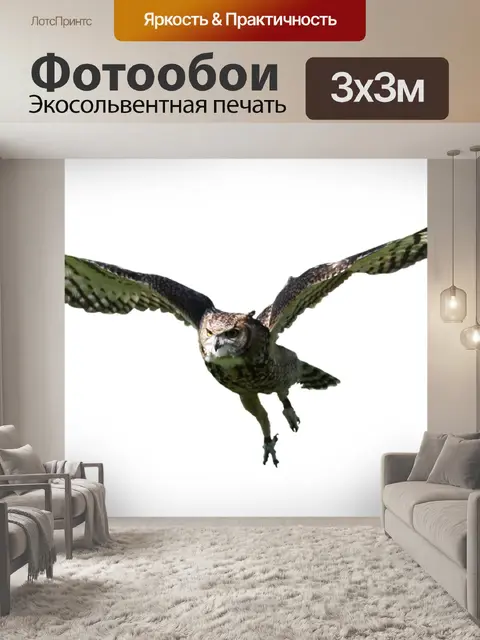 Фотообои Сова
