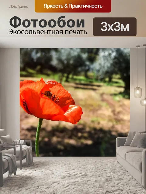 Фотообои Мак