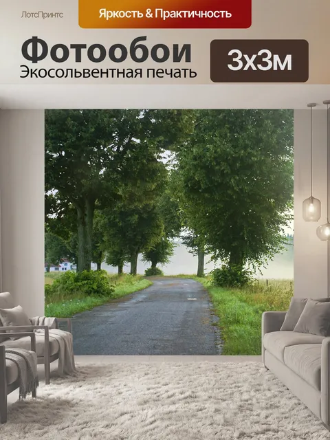 Фотообои Путь