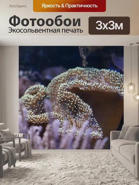 Фотообои Коралл