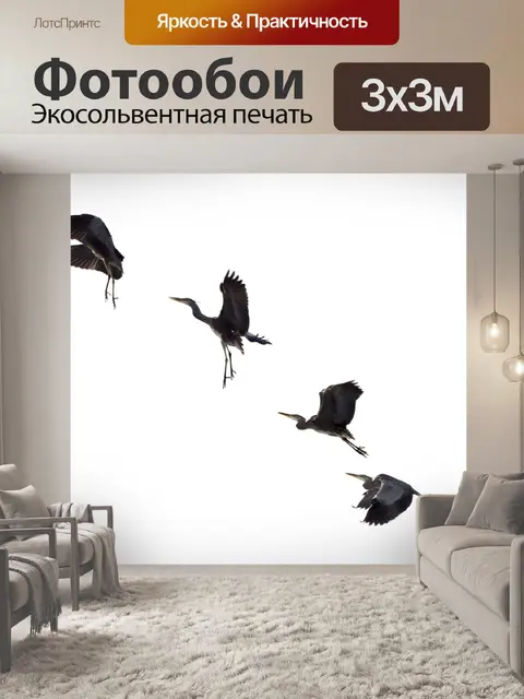 Фотообои Большая голубая цапля