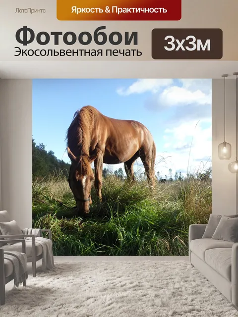 Фотообои Лошадь