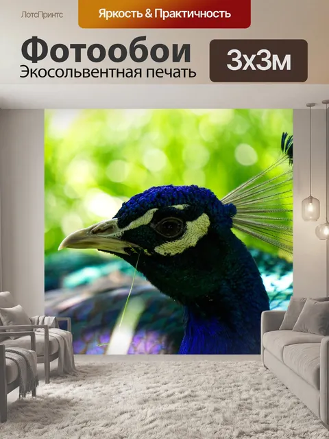 Фотообои Павлин