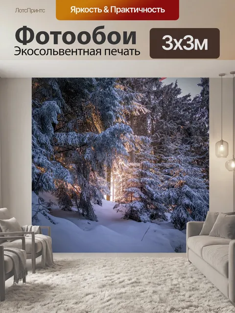 Фотообои Черный лес