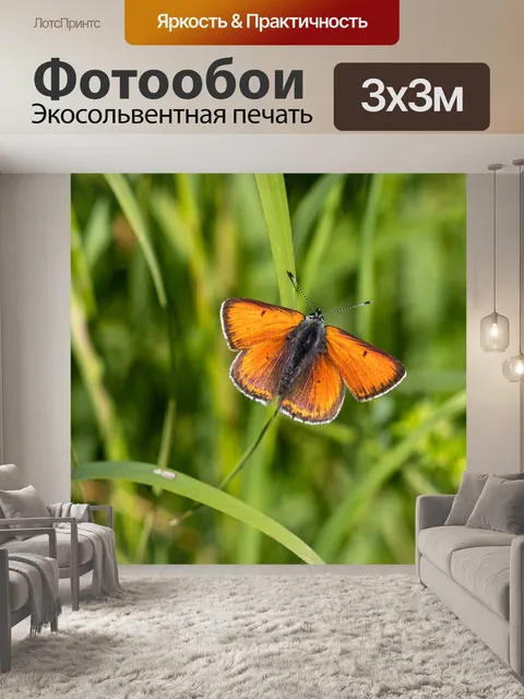 Фотообои Огонь фальтер