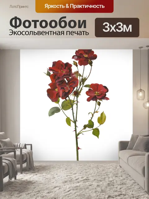 Фотообои Цветы