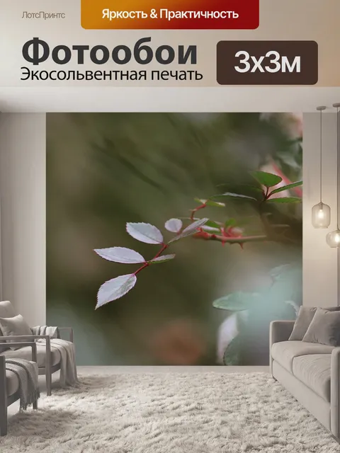 Фотообои Розы