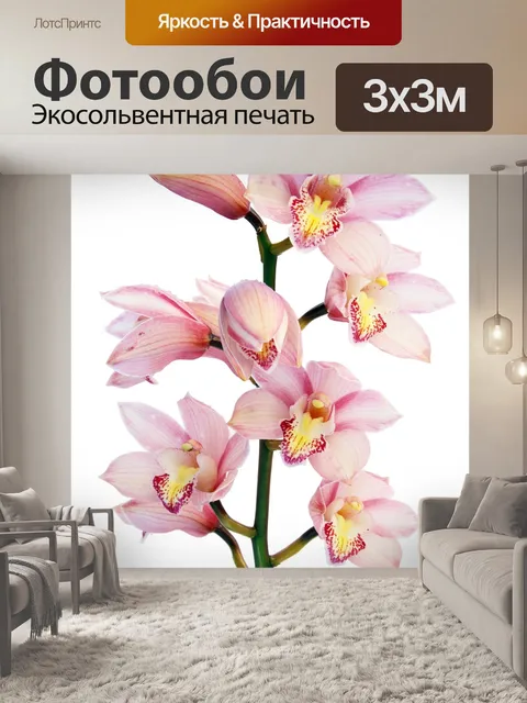 Фотообои Орхидея