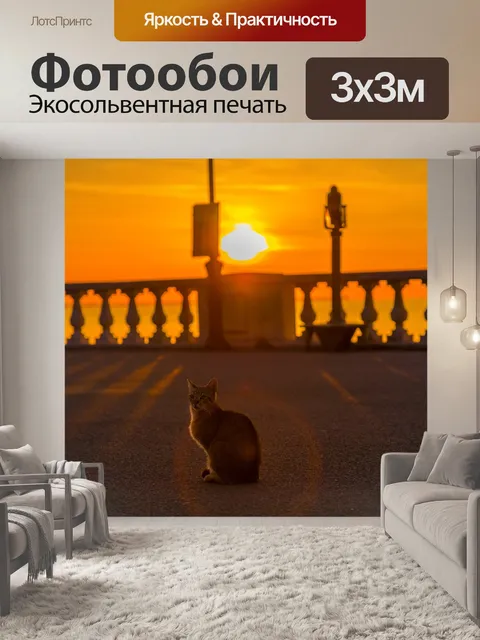 Фотообои Кошка