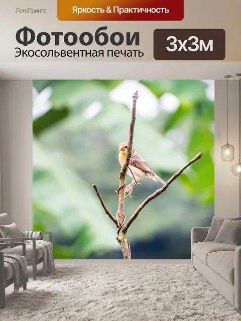 Фотообои Птица
