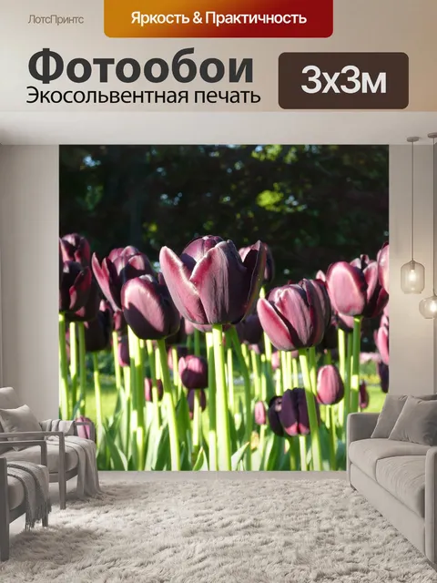 Фотообои Природа