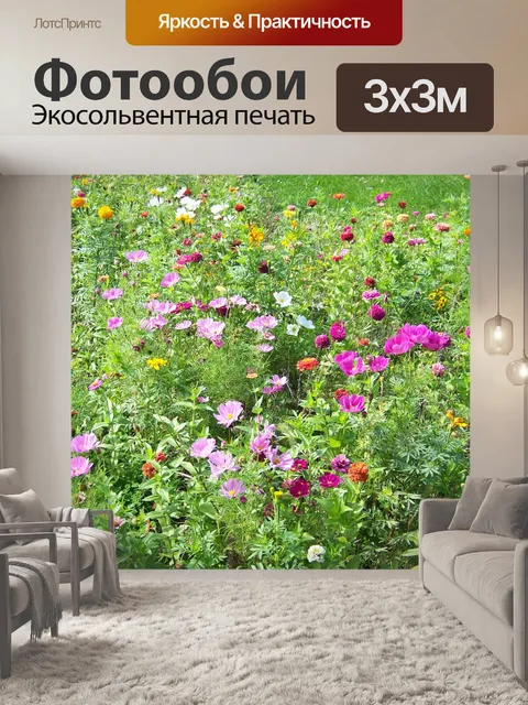 Фотообои Полевые цветы