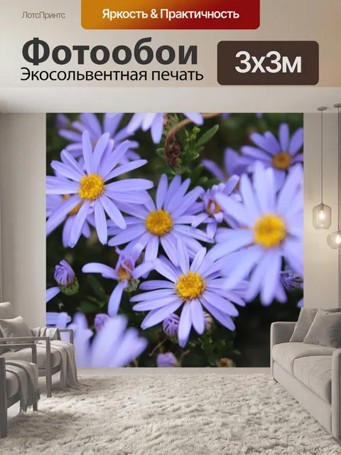 Фотообои Цветы лаванда