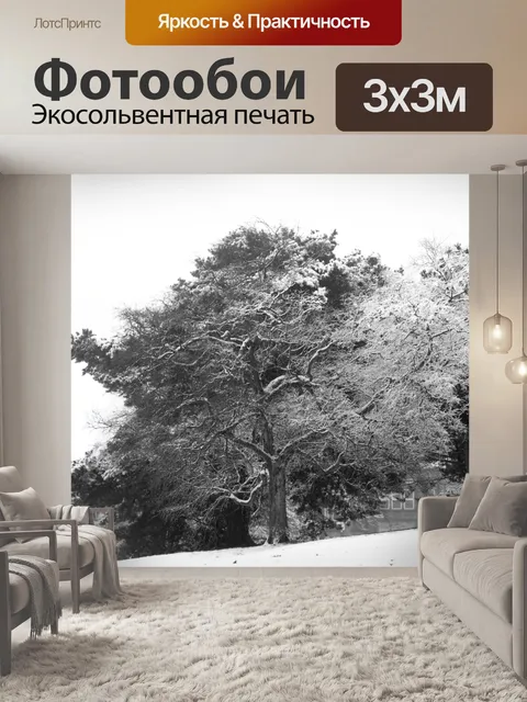 Фотообои Зимние деревья